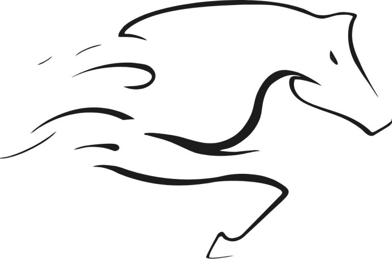 logo netvisor